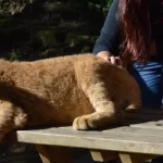 legislacion parques zoologicos galicia